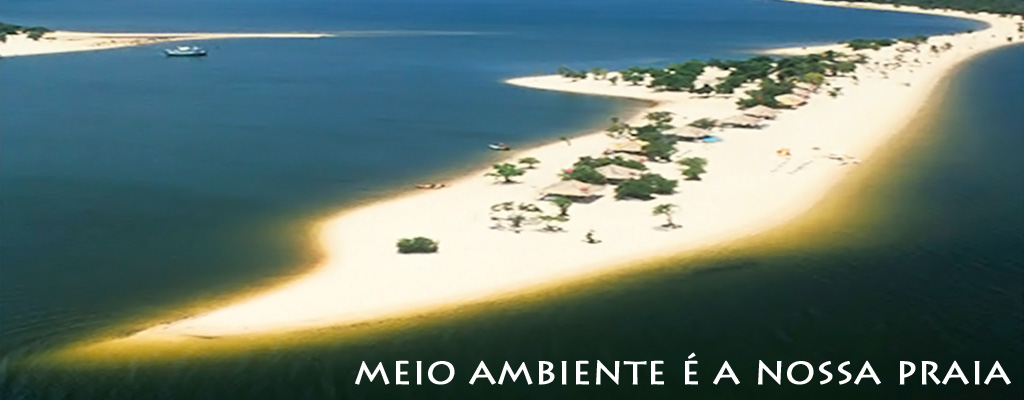 Meio ambiente é a nossa praia